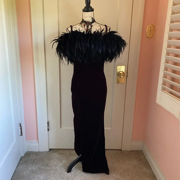 Vintage Velvet Gothic Gown with Feather Neckline - Picture 6 of 13